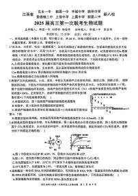 2025江西省新八校高三上学期第一次联考试题生物PDF版含解析