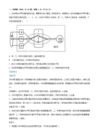 安徽省淮北市2023_2024学年高二生物上学期第三次月考试题含解析