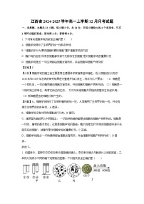江西省2024-2025学年高一上学期12月月考试生物试题（解析版）