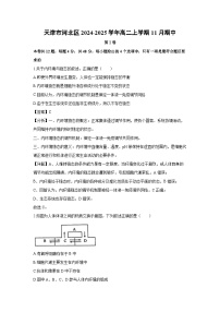 天津市河北区2024-2025学年高二上学期11月期中考试生物试题（解析版）