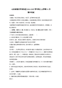 山东省临沂市河东区2024-2025学年高二上学期11月期中考试生物试卷（解析版）