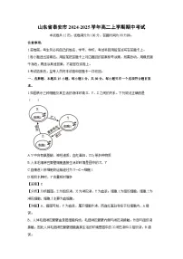 山东省泰安市2024-2025学年高二上学期期中考试生物试卷（解析版）