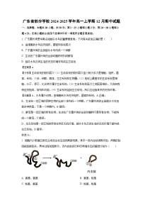 广东省部分学校2024-2025学年高一上学期12月期中生物试卷（解析版）