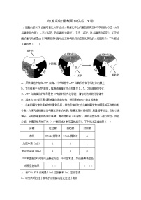 高中生物一轮复习第三单元细胞的能量供应和利用单元检测B卷含解析答案