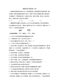 高中生物一轮复习第五单元基因的传递规律单元检测A卷含解析答案