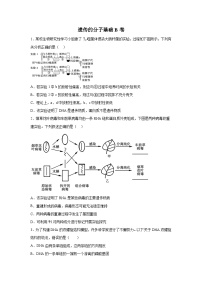 高中生物一轮复习第六单元遗传的分子基础单元检测B卷含解析答案