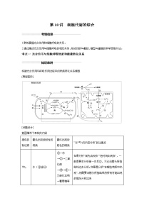 高中生物一轮复习讲练第10讲细胞代谢综合分析.含解析答案