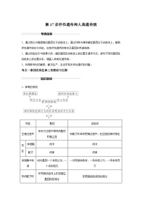 高中生物一轮复习讲练第17讲伴性遗传和人类遗传病含解析答案