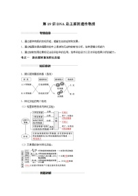 高中生物一轮复习讲练第19讲DNA是主要的遗传物质含解析答案