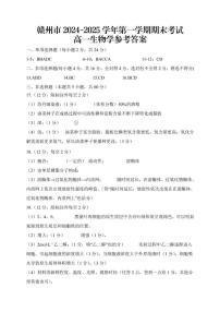 江西省赣州市2024-2025学年高一上学期1月期末考试生物试卷（PDF版附解析）