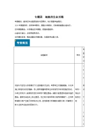 专题04细胞的生命历程-备战2025年高考生物真题题源解密（新高考通用）