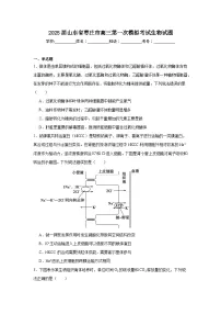 2025届山东省枣庄市高三第一次模拟考试生物试题