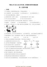 2023～2024学年安徽省马鞍山市期末教学质量监测高一下生物试卷(含答案)