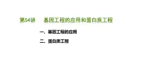 第55讲 基因工程的应用和蛋白质工程-备战2025年高考生物一轮复习精品课件（新高考通用）