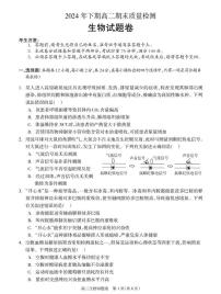 湖南省邵阳市新邵县2024-2025学年高二上学期期末考试生物试题