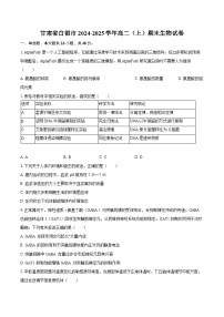 甘肃省白银市2024-2025学年高二（上）期末生物试卷（解析版）