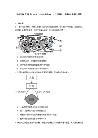 陕西省安康市2024-2025学年高二上学期1月期末生物试题