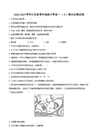 2024-2025学年江苏省常州高级中学高一（上）期末生物试卷（含解析）