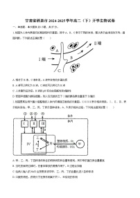 甘肃省酒泉市2024-2025学年高二（下）开学生物试卷-（含解析）