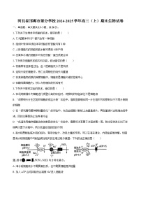 河北省邯郸市部分学校2024-2025学年高三（上）期末生物试卷