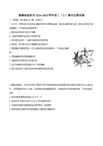 湖南省益阳市2024-2025学年高二（上）期末生物试卷（含解析）