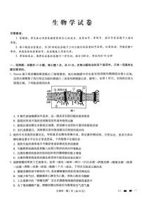 重庆市巴蜀中学校2024-2025学年高三下学期2月月考生物试题