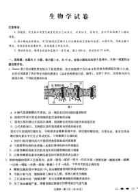 重庆市巴蜀中学2024—2025学年高三下学期适应性月考卷（五）生物试题