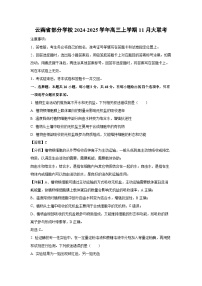 云南省部分学校2024-2025学年高三上学期11月大联考生物试卷（解析版）