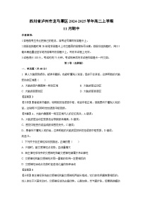 四川省泸州市龙马潭区2024-2025学年高二上学期11月期中生物试卷（解析版）