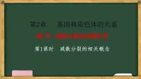 人教版 (2019)必修2《遗传与进化》二 受精作用教课内容课件ppt