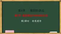 人教版 (2019)必修2《遗传与进化》第2节 基因表达与性状的关系背景图ppt课件