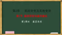 高中生物人教版 (2019)必修2《遗传与进化》第1节 基因突变和基因重组备课ppt课件