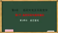 高中生物人教版 (2019)必修2《遗传与进化》第1节 基因突变和基因重组图文ppt课件