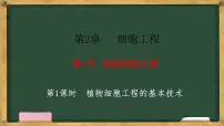 人教版 (2019)选择性必修3一 植物细胞工程的基本技术教学演示课件ppt