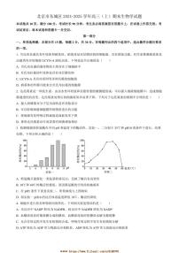 2024～2025学年北京市东城区高三上期末生物试卷(有解析)