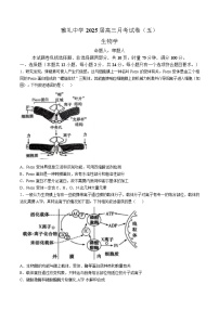 湖南省长沙市雅礼中学2024-2025学年高三上学期月考（五）生物试卷（Word版附解析）