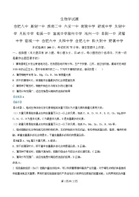 安徽省A10联盟2024-2025学年高三下学期开学考试生物试题（Word版附解析）