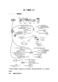 高中生物实战高考一轮复习第7讲酶和ATP试题含答案