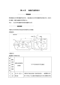高中生物实战高考一轮复习第10讲细胞代谢综合分析试题含答案