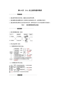 高中生物实战高考一轮复习第19讲DNA是主要的遗传物质试题含答案