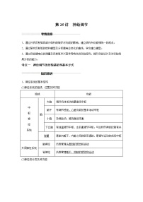 高中生物实战高考一轮复习第25讲神经调节试题含答案