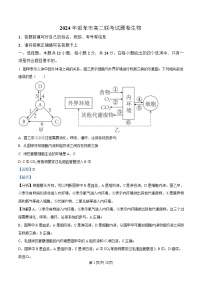 湖南省邵阳市邵东市联考2024-2025学年高二上学期1月期末生物试卷（Word版附解析）