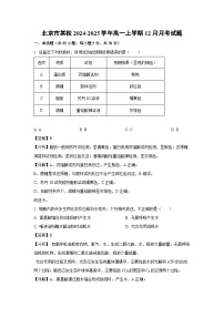 北京市某校2024-2025学年高一(上)12月月考生物试卷（解析版）