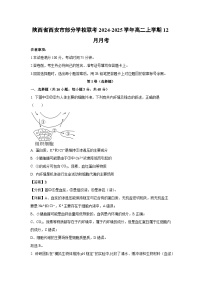 陕西省西安市部分学校联考2024-2025学年高二(上)12月月考生物试卷（解析版）