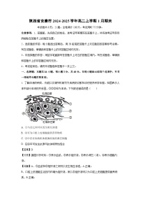 陕西省安康市2024-2025学年高二(上)1月期末生物试卷（解析版）