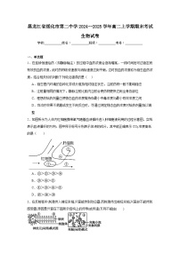 黑龙江省绥化市第二中学2024--2025学年高二上学期期末考试生物试卷