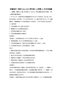 安徽省天一联考2024-2025学年高一上12月月考生物试卷(解析版)