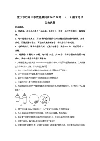 重庆市巴蜀中学2024-2025学年高一上学期期末考试生物试题（Word版附解析）