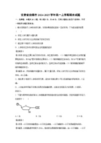 甘肃省白银市2024-2025学年高一(上)期末生物试卷（解析版）