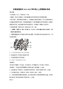 甘肃省酒泉市2024-2025学年高二(上)期末考试生物试卷（解析版）